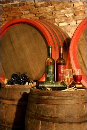 salon des vignerons